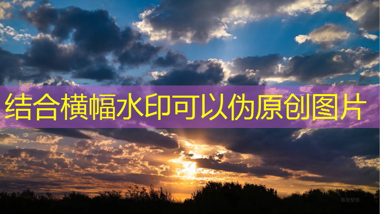 肇庆校园塑胶跑道建设