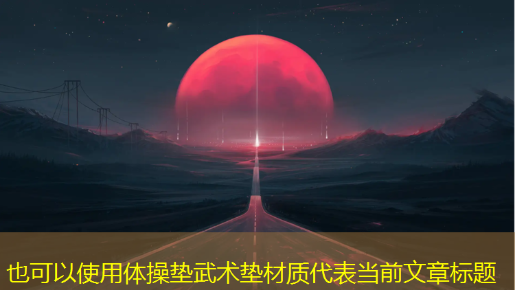 体操垫武术垫材质