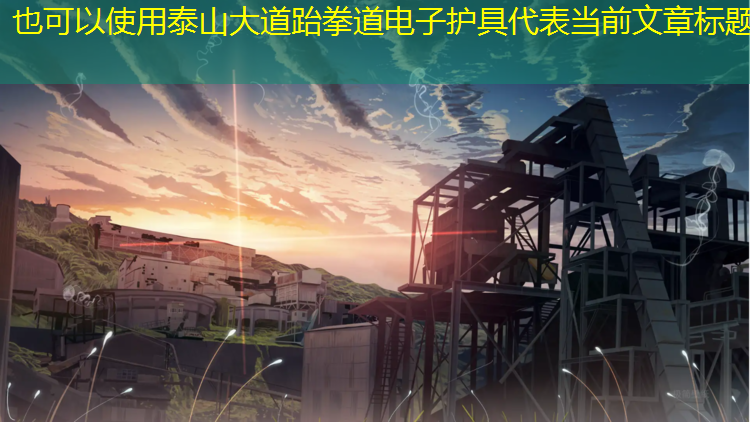 泰山大道跆拳道电子护具