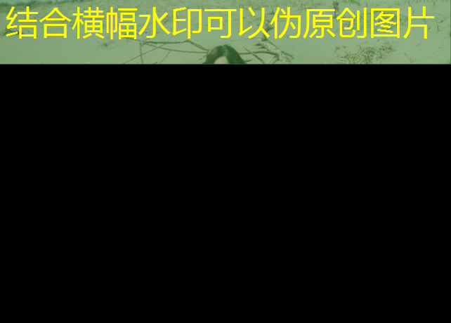 塑胶跑道种类有哪些呢