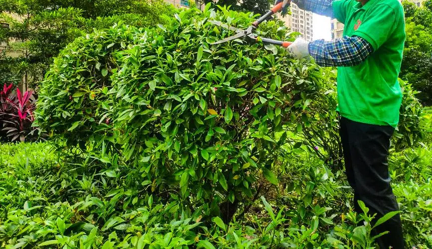 米乐m6官网：网球拍绑带是什么材质的好