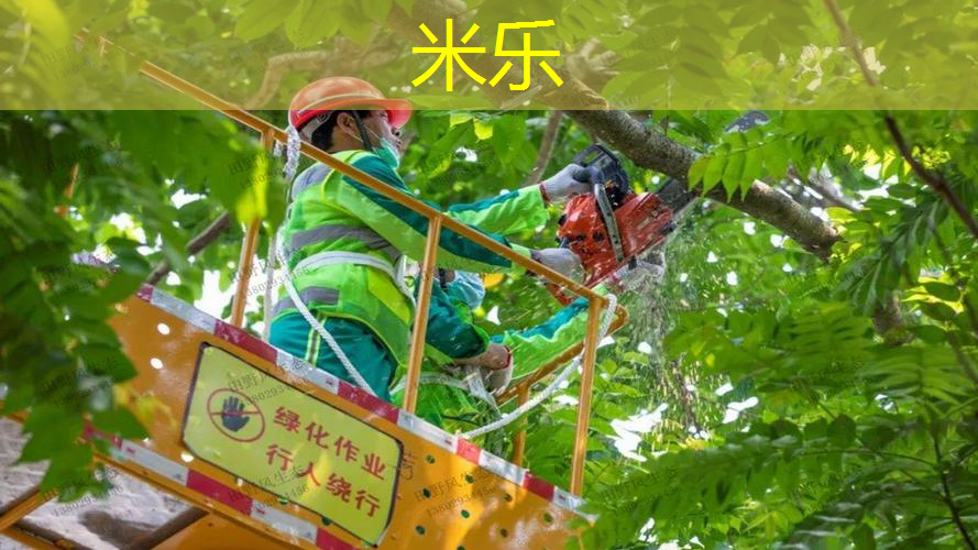 米乐m6官网：会亮光的乒乓球台