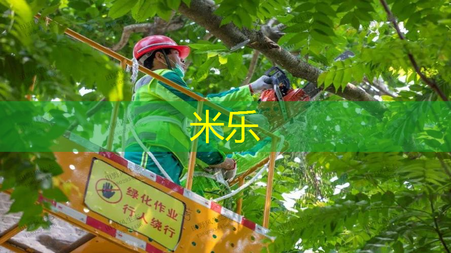 幼儿园网球拍器械操音乐