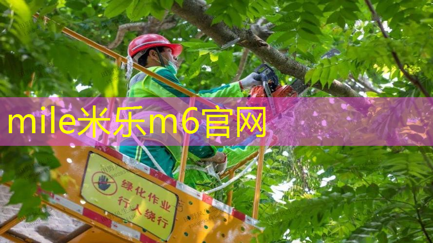 适合打出旋转的网球拍是什么