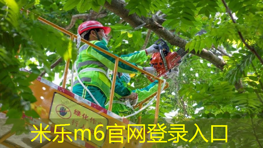 乒乓球台的长度和宽度为
