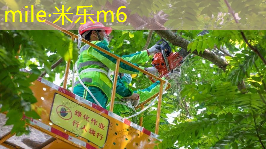 婴儿室内健身器材