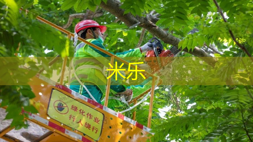 让孩子学会独立和合作精神，以儿童户外游乐设施为媒介！