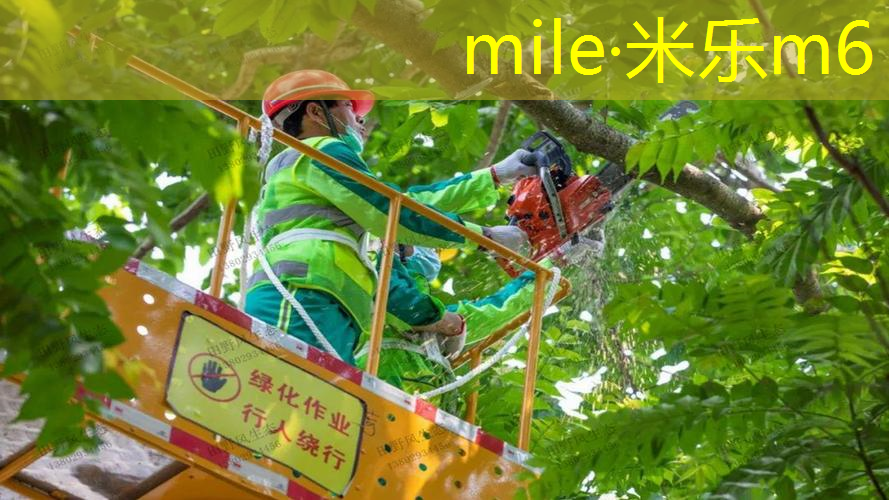 孩子们的好伙伴！儿童游乐滑梯新增密封玩法，创造更多乐趣！