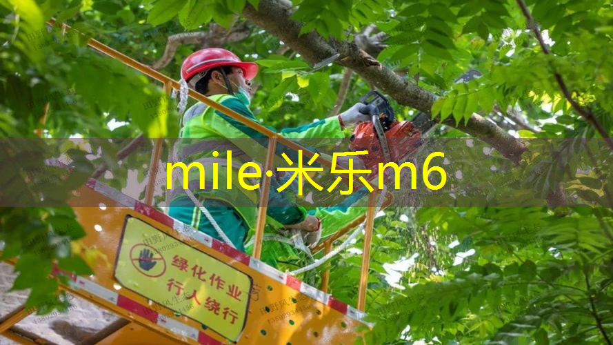 会亮光的乒乓球台